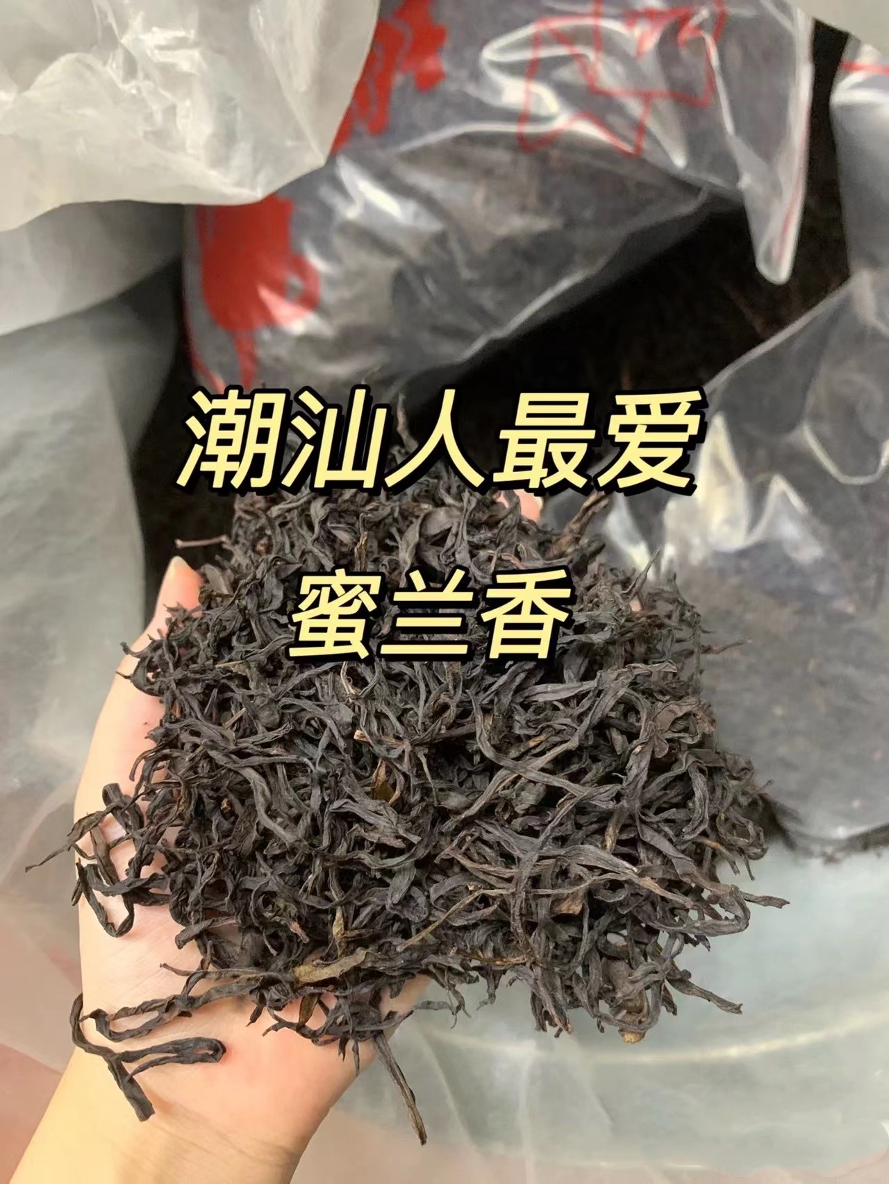 潮汕人最喜欢喝的一款单丛茶—蜜兰香