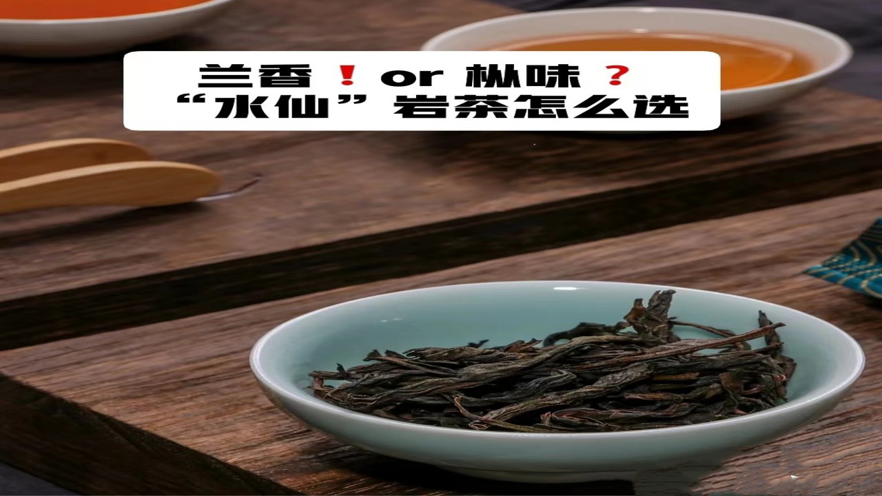 武夷山岩茶，兰香or枞味，“水仙”岩茶怎么选？