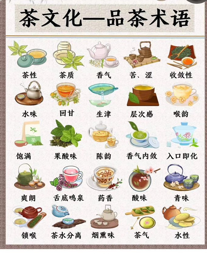 25个品茶术语，你知道哪些？